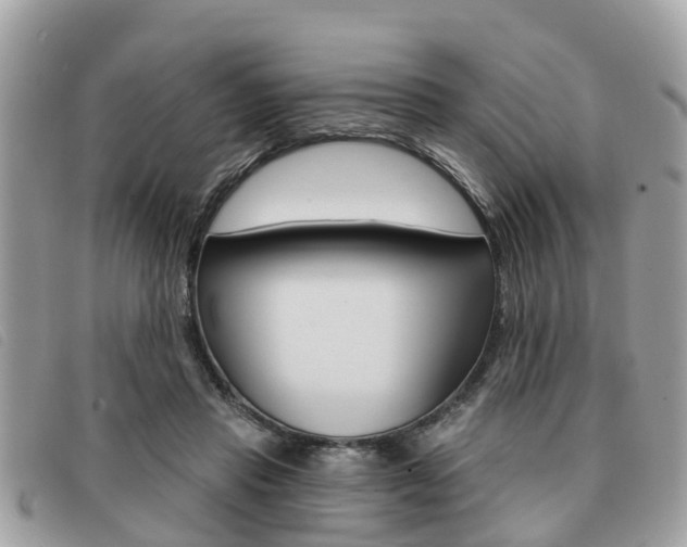 X0000091530453200708170953