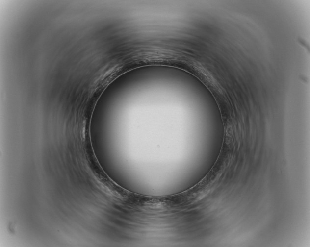 X0000091530454200708170953