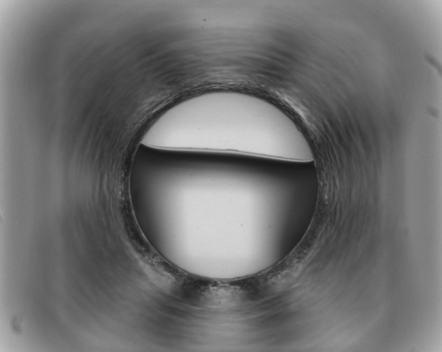 X0000091530455200708170953