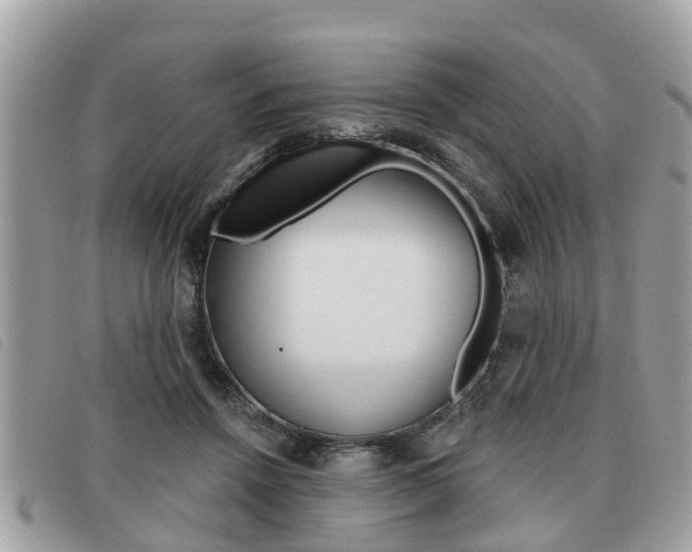 X0000091530456200708170953