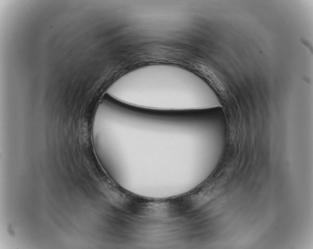 X0000091530457200708170953