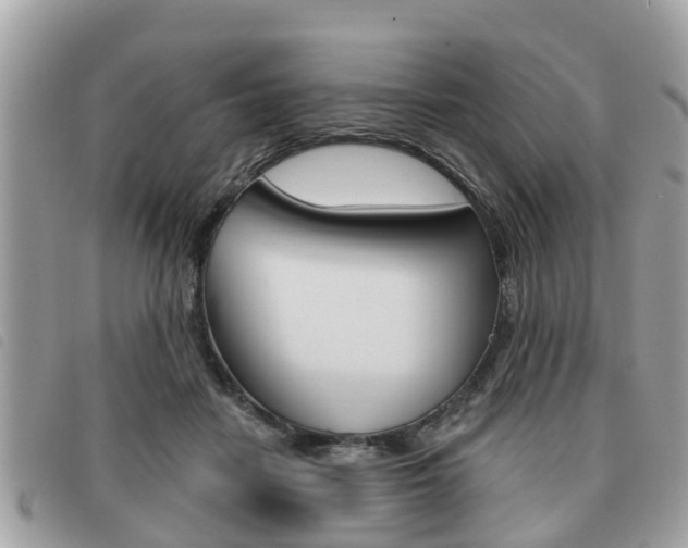 X0000091530458200708170953