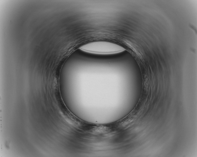 X0000091530459200708170953