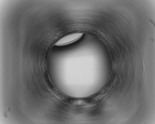 X0000091530460200708170953