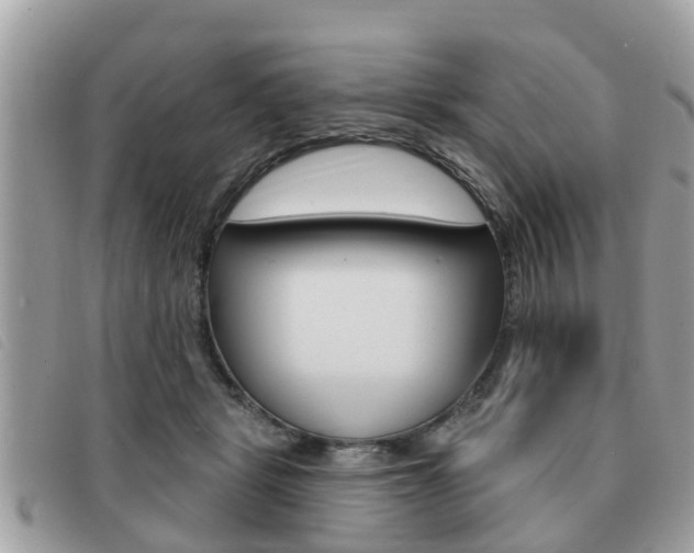 X0000091530461200708170953