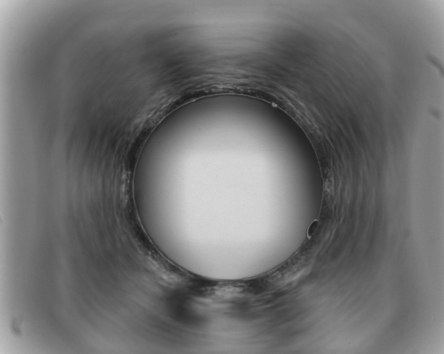X0000091530462200708170953
