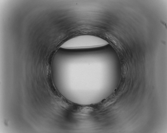 X0000091530463200708170953