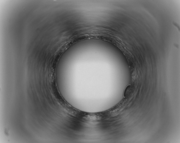 X0000091530464200708170953