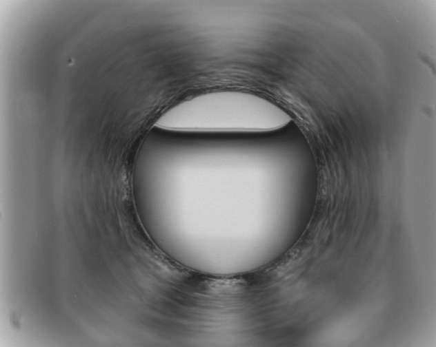 X0000091530465200708170953
