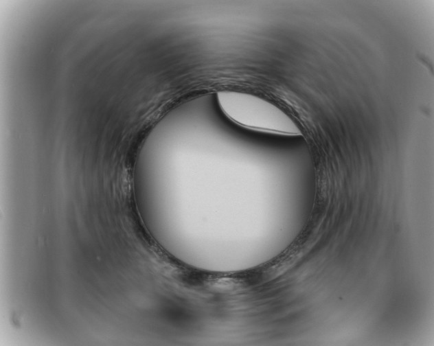 X0000091530467200708170953