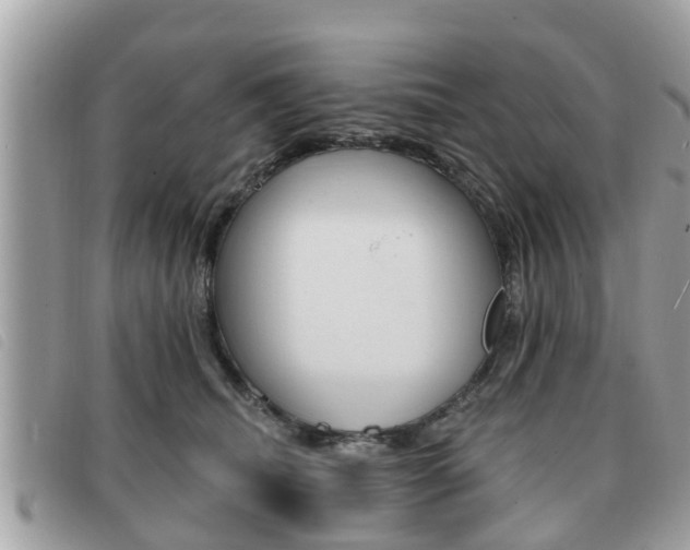 X0000091530468200708170953