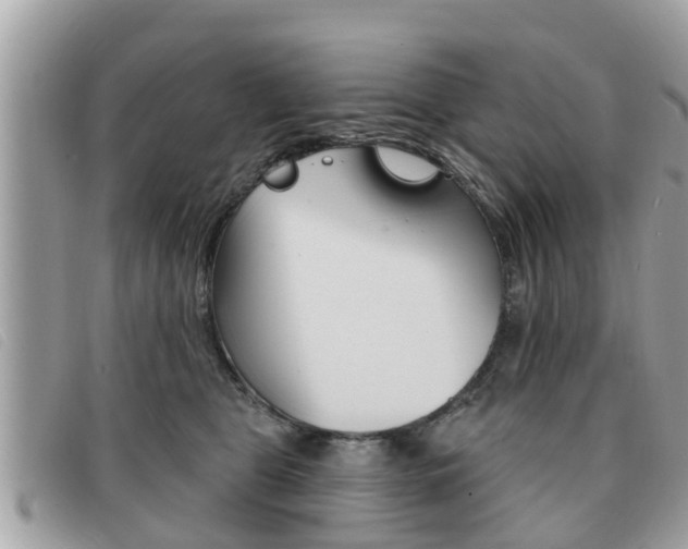 X0000091530469200708170953