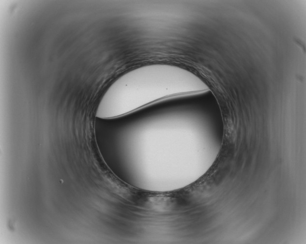 X0000091530470200708170953