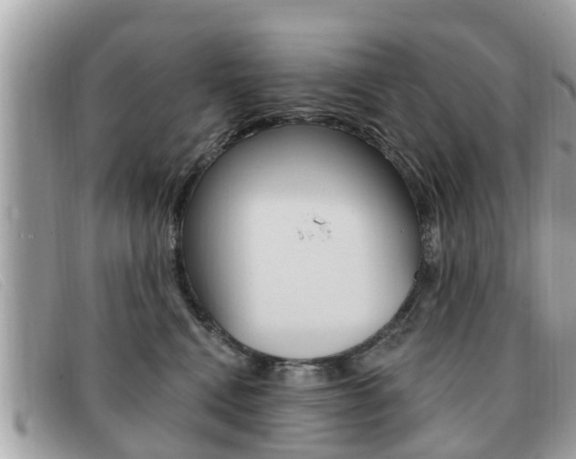 X0000091530472200708170953
