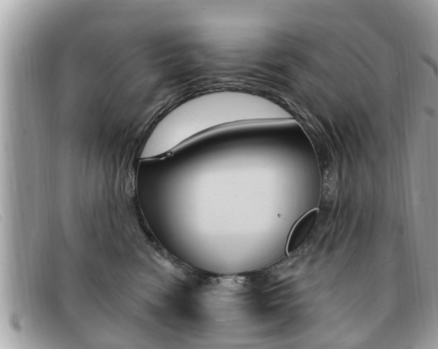 X0000091530474200708170953