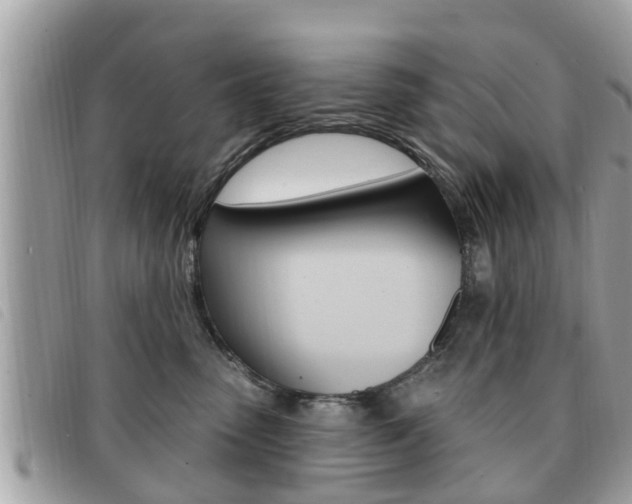 X0000091530475200708170953