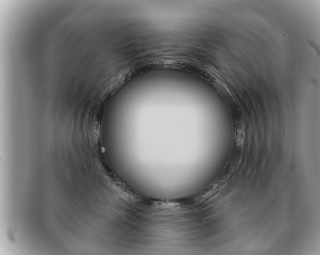 X0000091530476200708170953