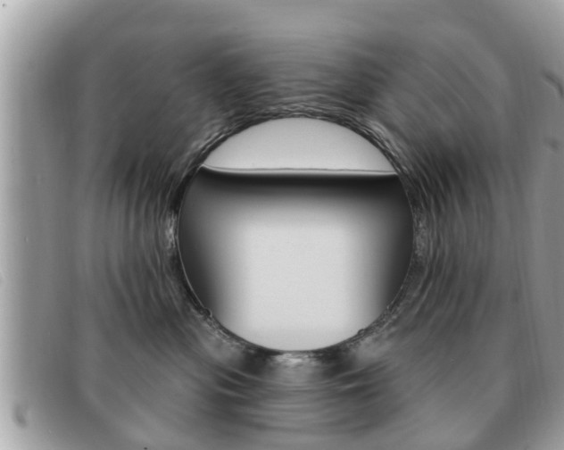 X0000091530477200708170953