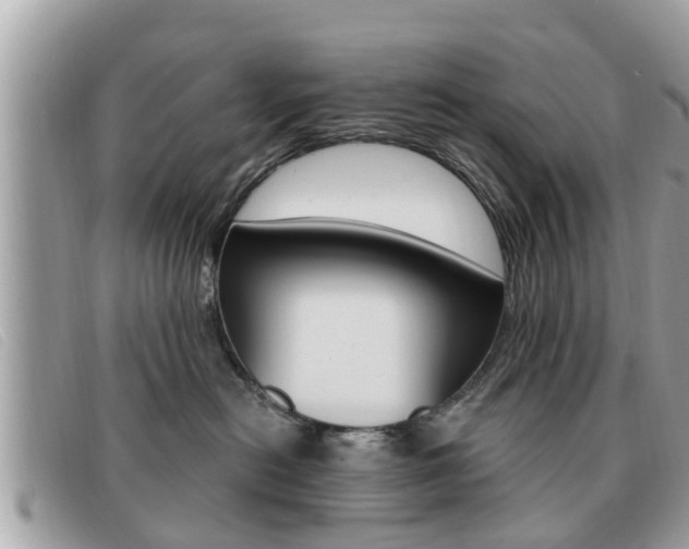 X0000091530478200708170953