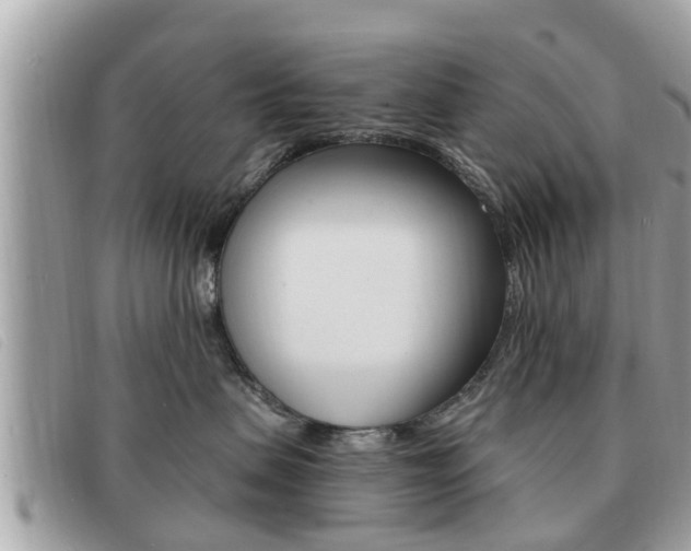 X0000091530479200708170953