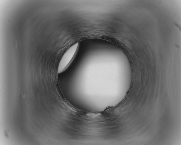 X0000091530480200708170953