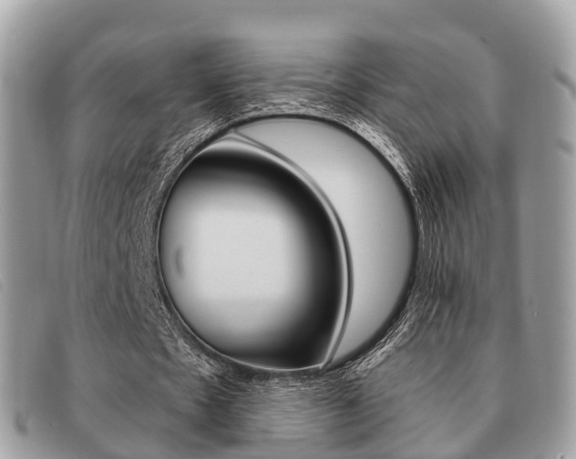 X0000091530481200708170953