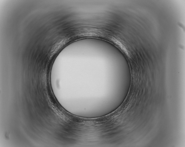 X0000091530482200708170953