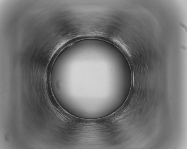 X0000091530483200708170953