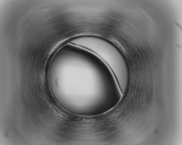 X0000091530484200708170953