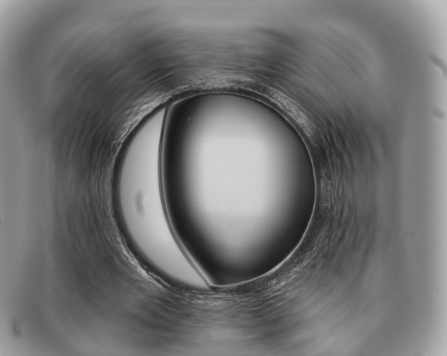 X0000091530485200708170953