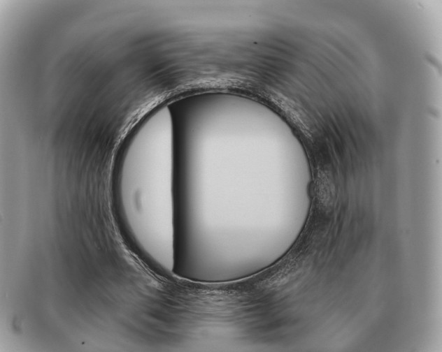 X0000091530486200708170953