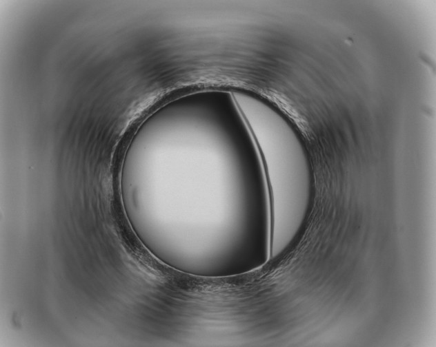 X0000091530488200708170953