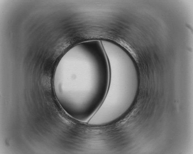 X0000091530489200708170953