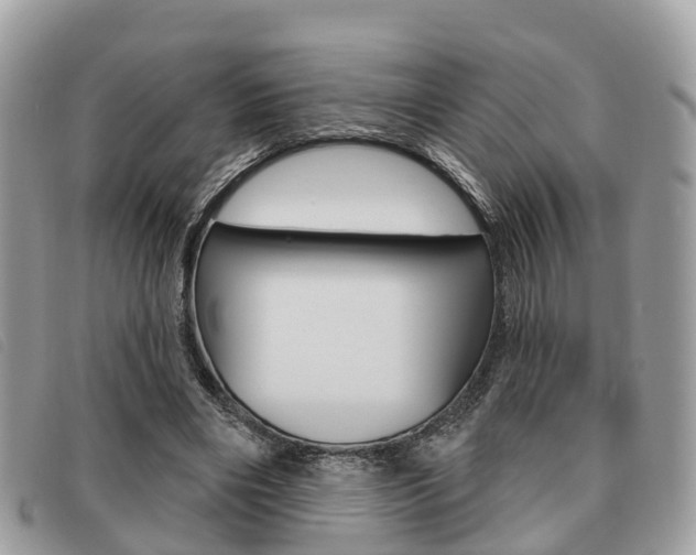 X0000091530490200708170953