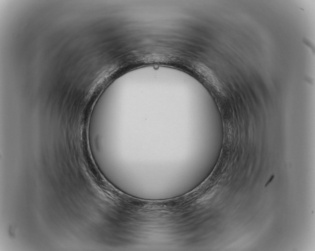 X0000091530491200708170953