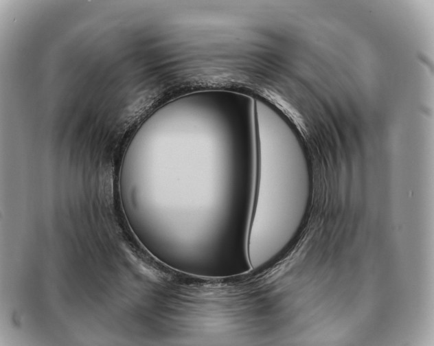X0000091530493200708170952
