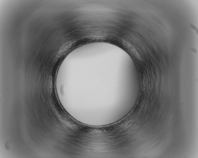 X0000091530494200708170952
