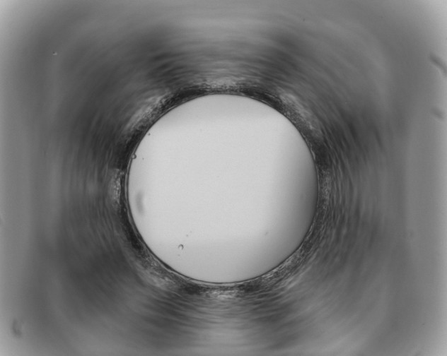 X0000091530495200708170952