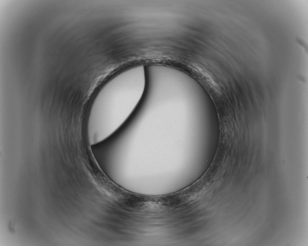 X0000091530496200708170952