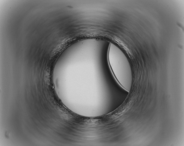 X0000091530497200708170952