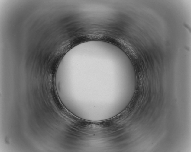 X0000091530498200708170952