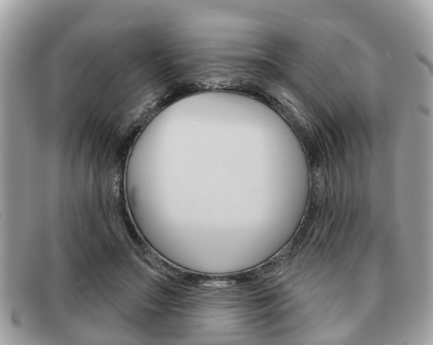X0000091530499200708170952