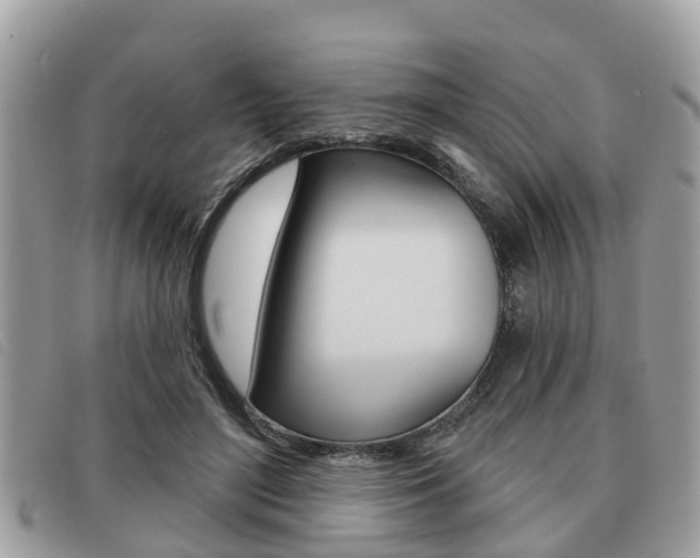 X0000091530500200708170952