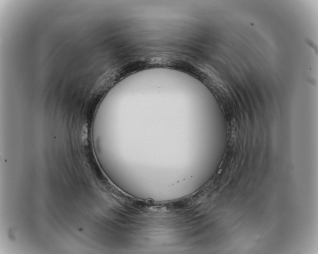 X0000091530502200708170952