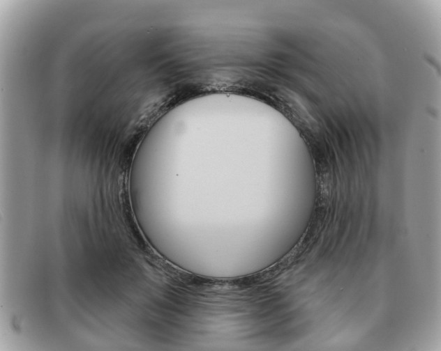 X0000091530503200708170952