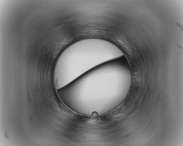 X0000091530504200708170952