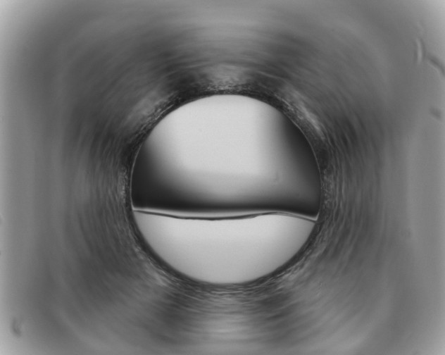 X0000091530505200708170952