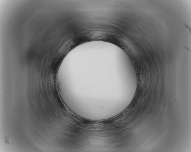 X0000091530506200708170952