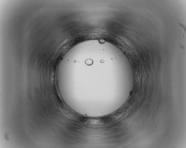 X0000091530507200708170952