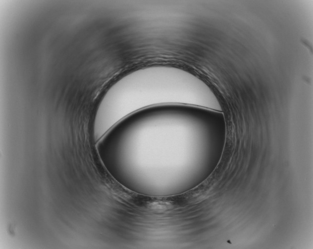 X0000091530508200708170952